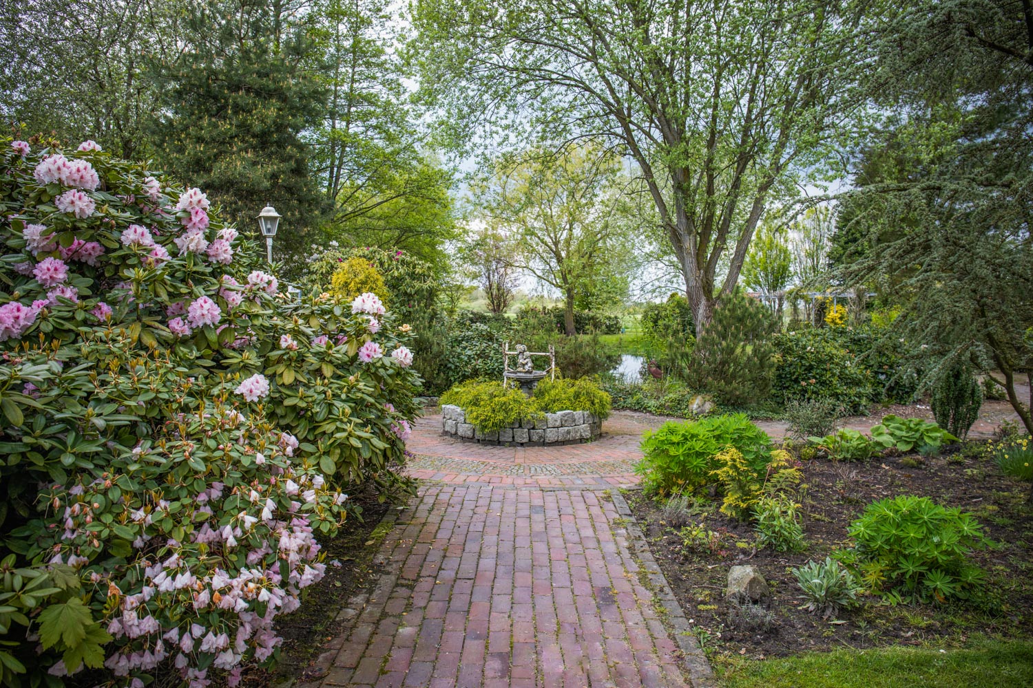 Rhododendronblüte im Erlebnisgarten am Hof Moorblick