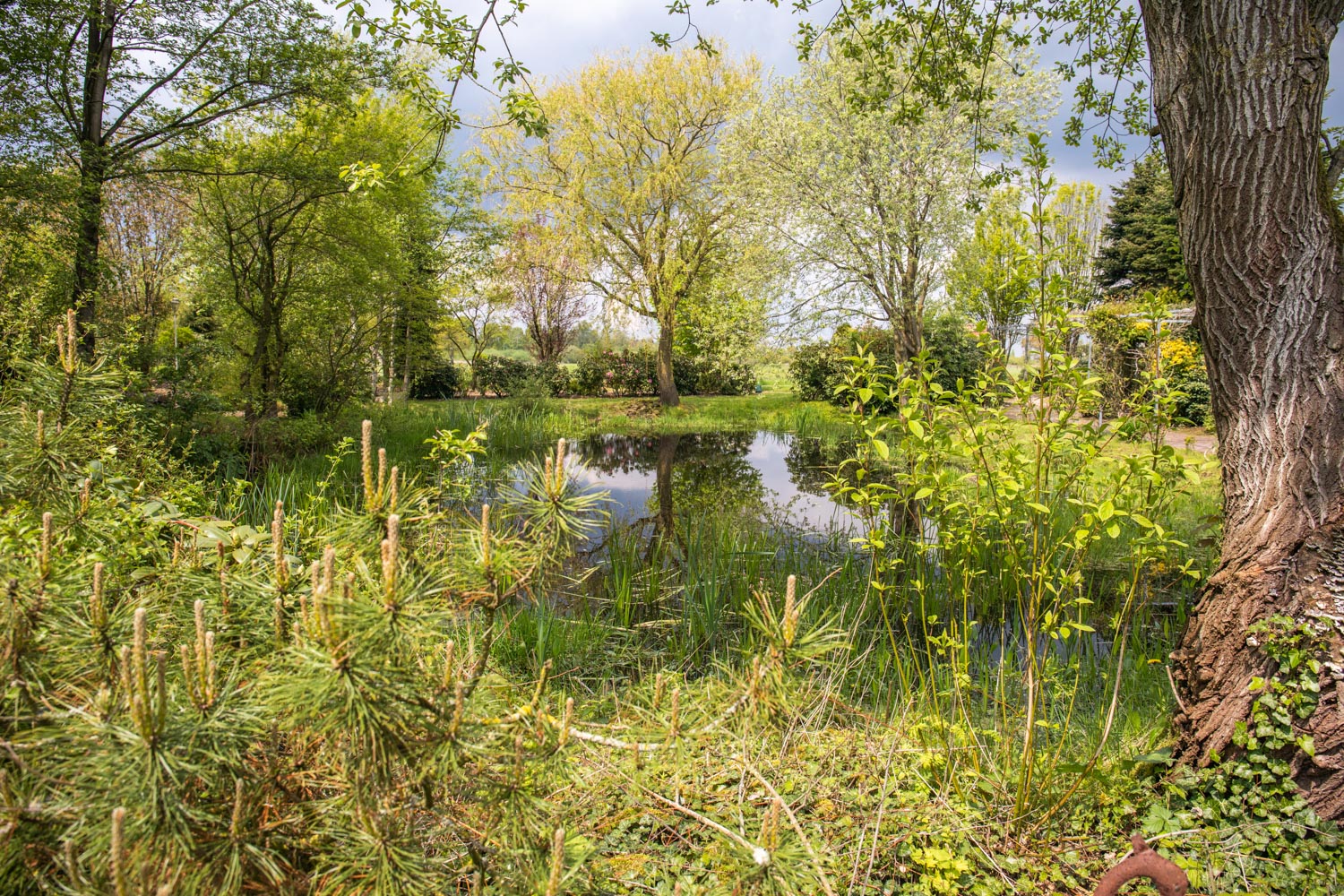 Teich im Themengarten am Hof Moorblick