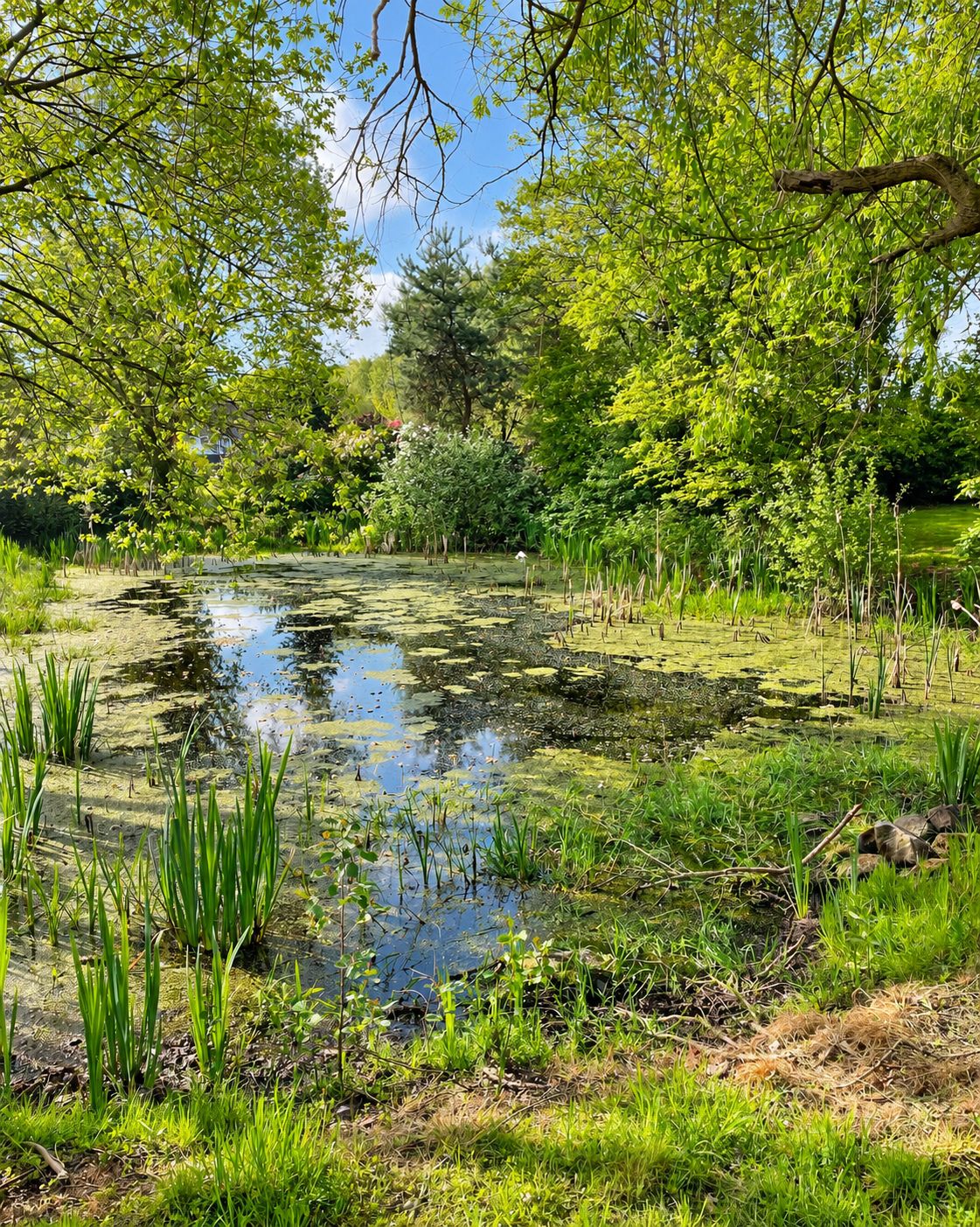 Teich im Themen- und Erlebnisgarten am Hof Moorblick in Großefehn